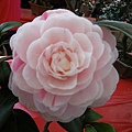 IMGP4067.JPG