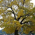 IMGP2212.JPG