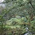 IMGP4843.JPG
