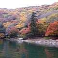 IMGP2263.JPG