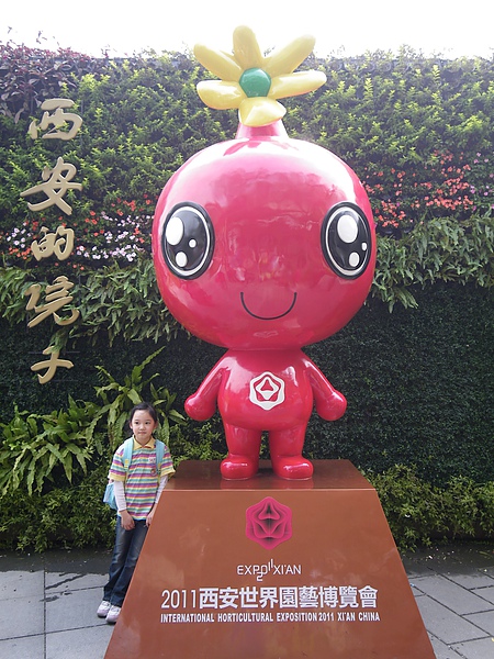 IMGP5150.JPG