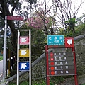 IMGP4600.JPG