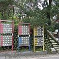 IMGP4757.JPG