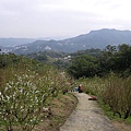 IMGP4617.JPG