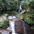 IMGP4862.JPG