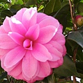 IMGP4105.JPG