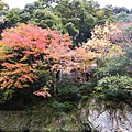 IMGP2245.JPG