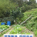 IMGP4781.JPG