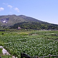 IMGP5794.JPG