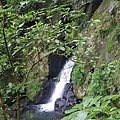 IMGP4868.JPG