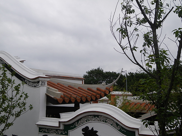 IMGP1495.JPG