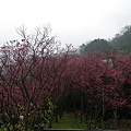 IMGP4885.JPG