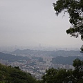 IMGP4755.JPG