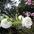IMGP4723.JPG