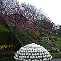 IMGP4955.JPG