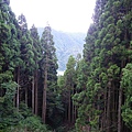 IMGP6486.JPG