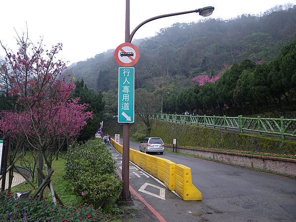 IMGP4857.JPG