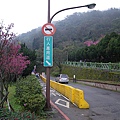 IMGP4857.JPG