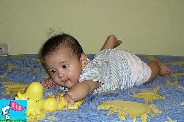 Woodstock軟啾啾玩具