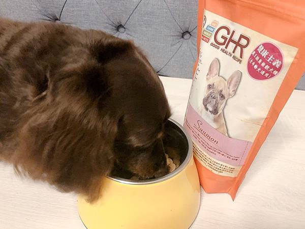 GHR_181002_0010.jpg 試用