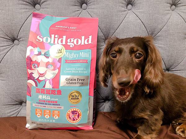 Solidgold速利高 犬糧 狗飼料 天然