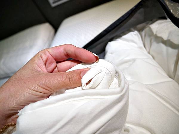 詩肯睡眠精品 護脊椎 電動床 飯店床 床墊推薦 冬被 頂級