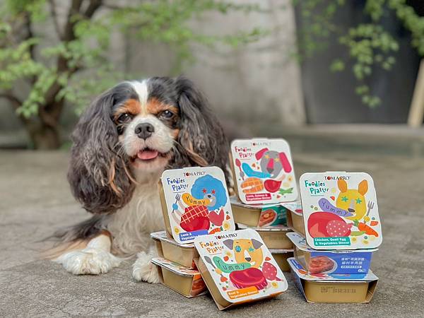 2023狗狗主食餐盒推荐︱优格宠物食谱 TOMA-PRO︱吃