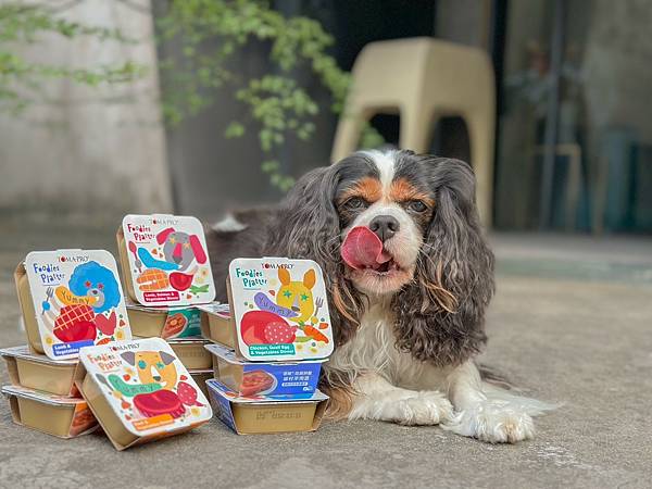 2023狗狗主食餐盒推荐︱优格宠物食谱 TOMA-PRO︱吃