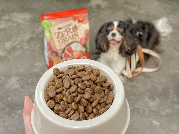 2023狗狗主食餐盒推荐︱优格宠物食谱 TOMA-PRO︱吃