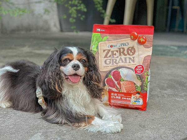 2023狗狗主食餐盒推荐︱优格宠物食谱 TOMA-PRO︱吃