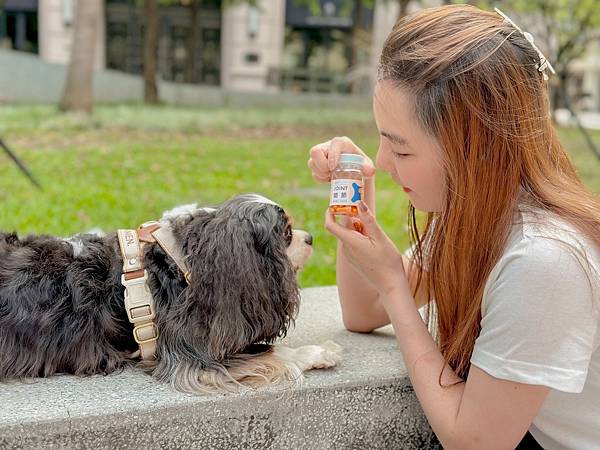 犬猫宠物关节保健︱Petronew沛茁力︱一颗小橘力健康存骨