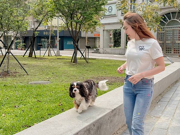 犬猫宠物关节保健︱Petronew沛茁力︱一颗小橘力健康存骨