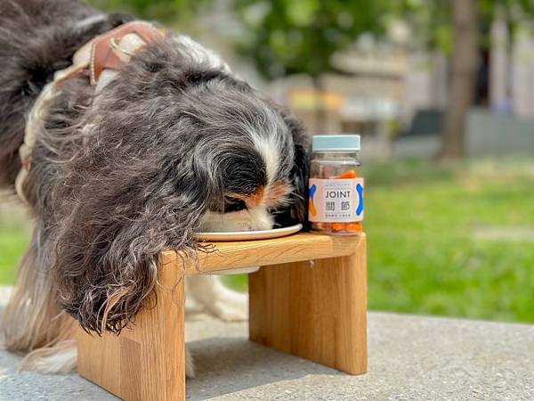 犬貓寵物關節保健︱Petronew沛茁力︱一顆小橘力健康存骨