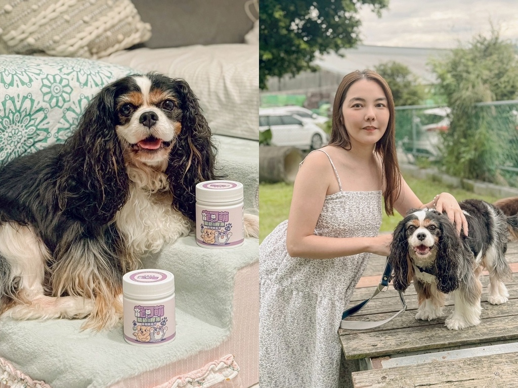 【犬貓關節保健推薦】寵可萌膠原蛋殼膜粉 天然足量配方維持關節
