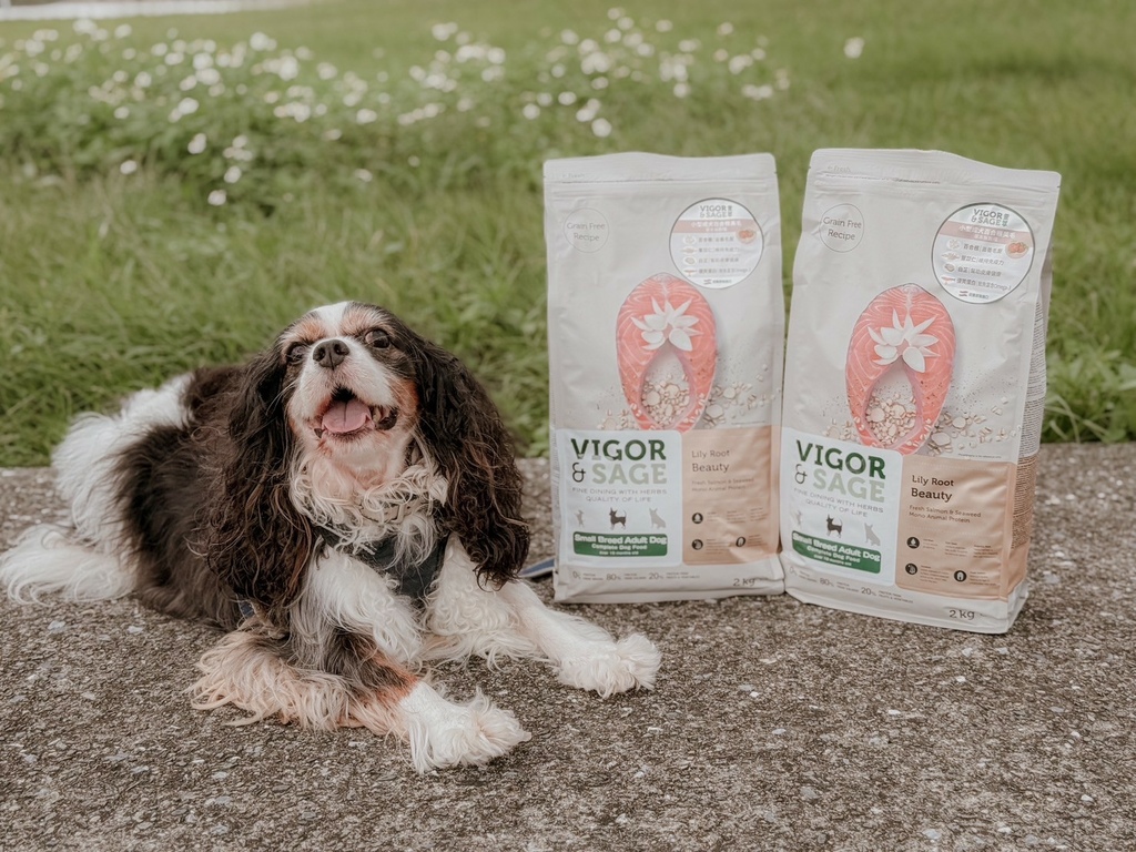 狗狗無穀飼料推薦｜靈萃Vigor & Sage 草本無穀糧｜