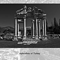 (11) 阿芙羅迪西亞神殿遺址