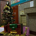 (3) 德晟跟瑜妙生出來的聖誕樹