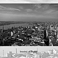 (31) 鳥瞰伊斯坦堡市景