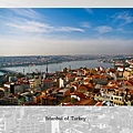 (30) 鳥瞰伊斯坦堡市景