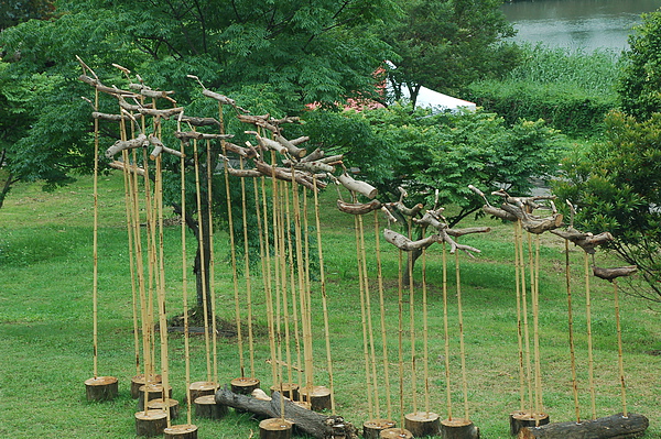 DSC_0009.JPG