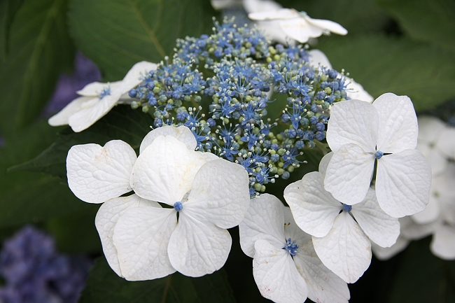 IMG_7585 - 複製.jpg IMG_7585 - 複製.jpg