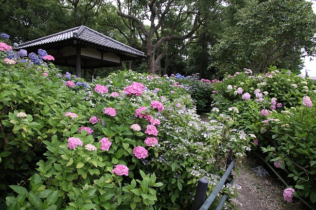 IMG_7588 - 複製.jpg IMG_7588 - 複製.jpg