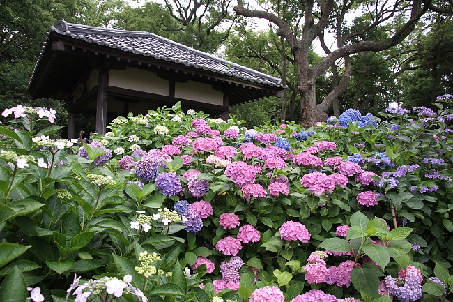 IMG_7590 - 複製.jpg IMG_7590 - 複製.jpg