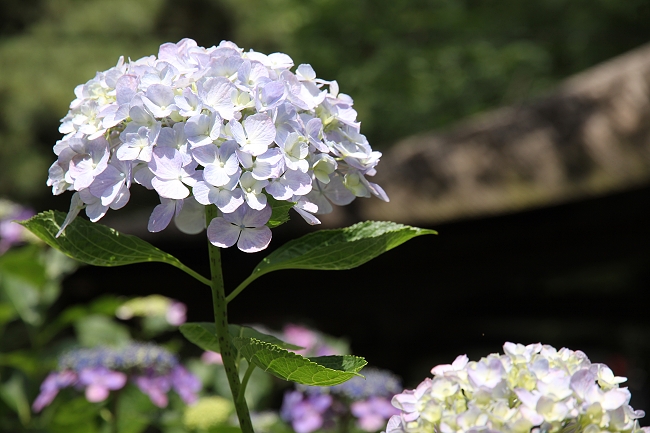 IMG_7612 - 複製.jpg IMG_7612 - 複製.jpg