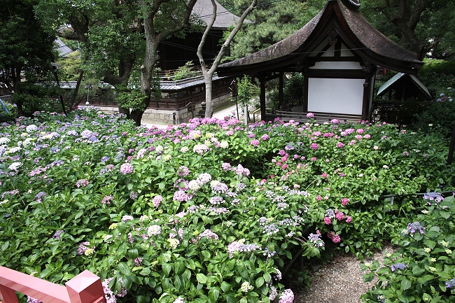 IMG_7623 - 複製.jpg IMG_7623 - 複製.jpg