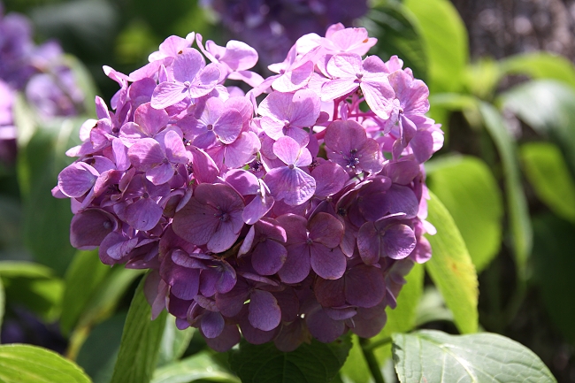 IMG_7672 - 複製.jpg IMG_7672 - 複製.jpg