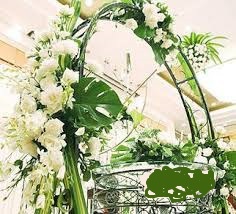 松山求婚、提親、訂婚、結婚媒人婆