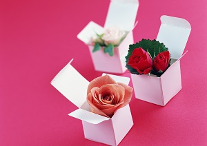 廣東慶祝結婚紀念日
