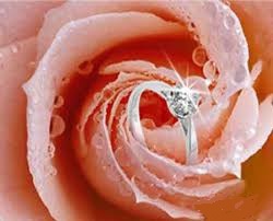 結婚紀念日的浪漫