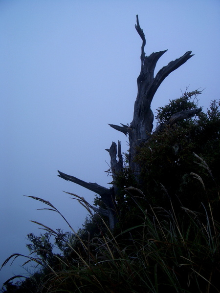 關山嶺山